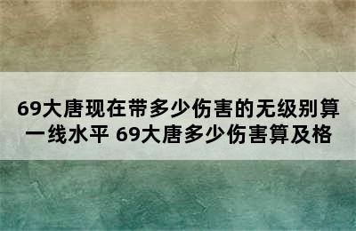 69大唐现在带多少伤害的无级别算一线水平 69大唐多少伤害算及格